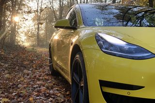 Model 3, gelb, Herbstlaub